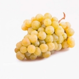 Raznolikost grožđa muškat - bijelo